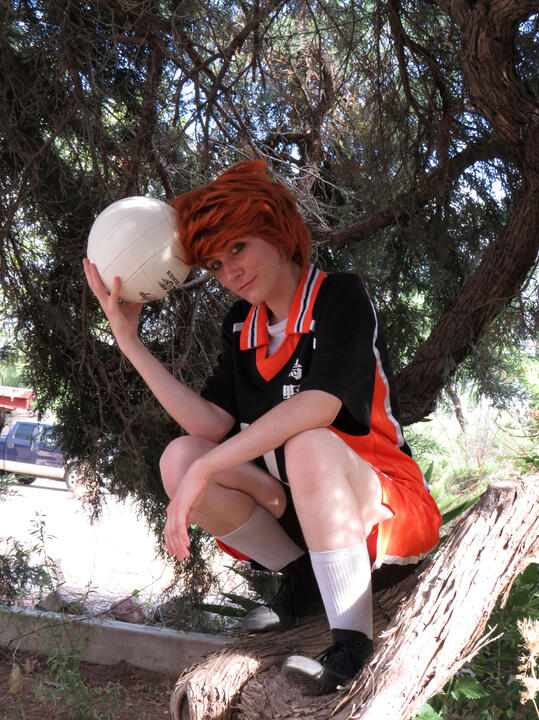 Hinata Shoyo (Haikyuu)